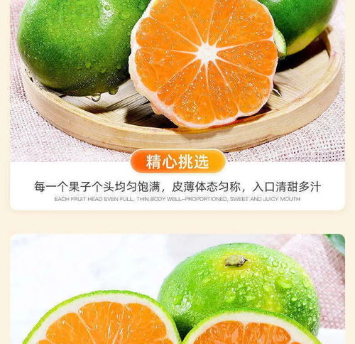產(chǎn)地直發(fā) 當(dāng)清晨第一箱“石門青皮蜜桔”來到你面前