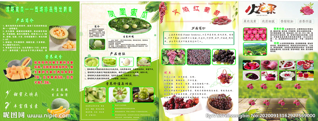 新鮮水果的魅力與選擇指南